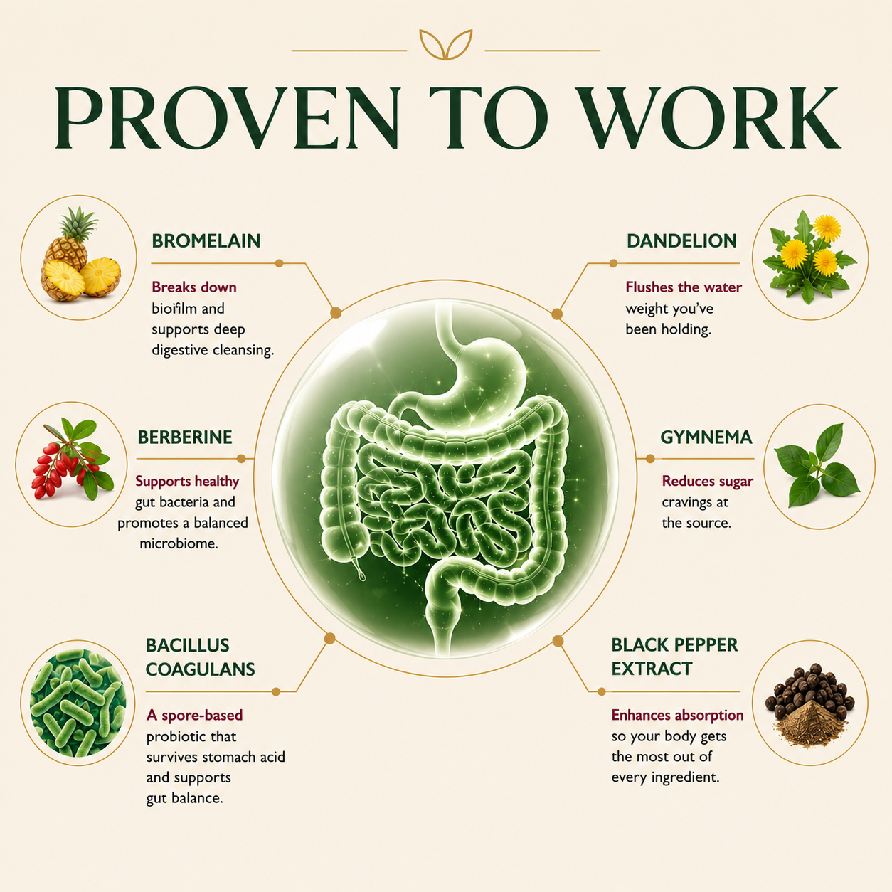 Ovouria Was Built for the Biofilm